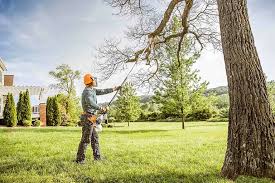 How Our Tree Care Process Works  in  New Deal, TX